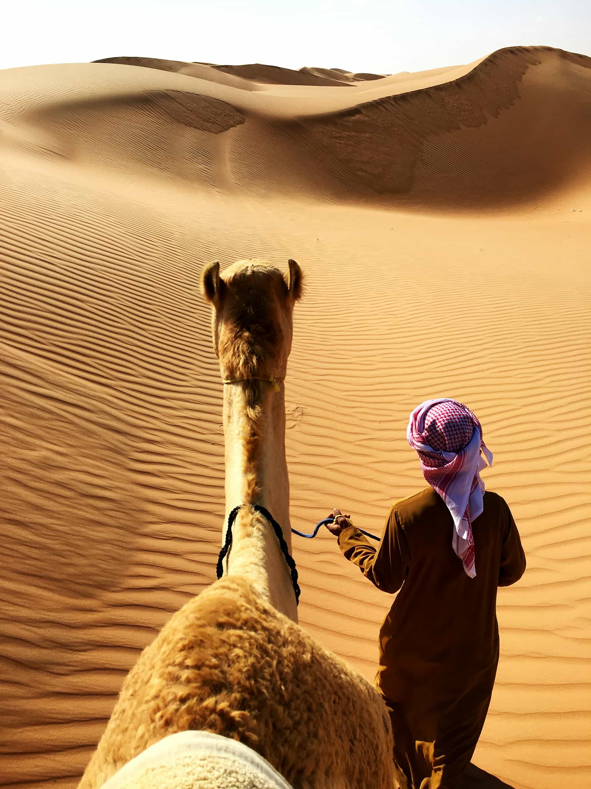 Desert Adventures
