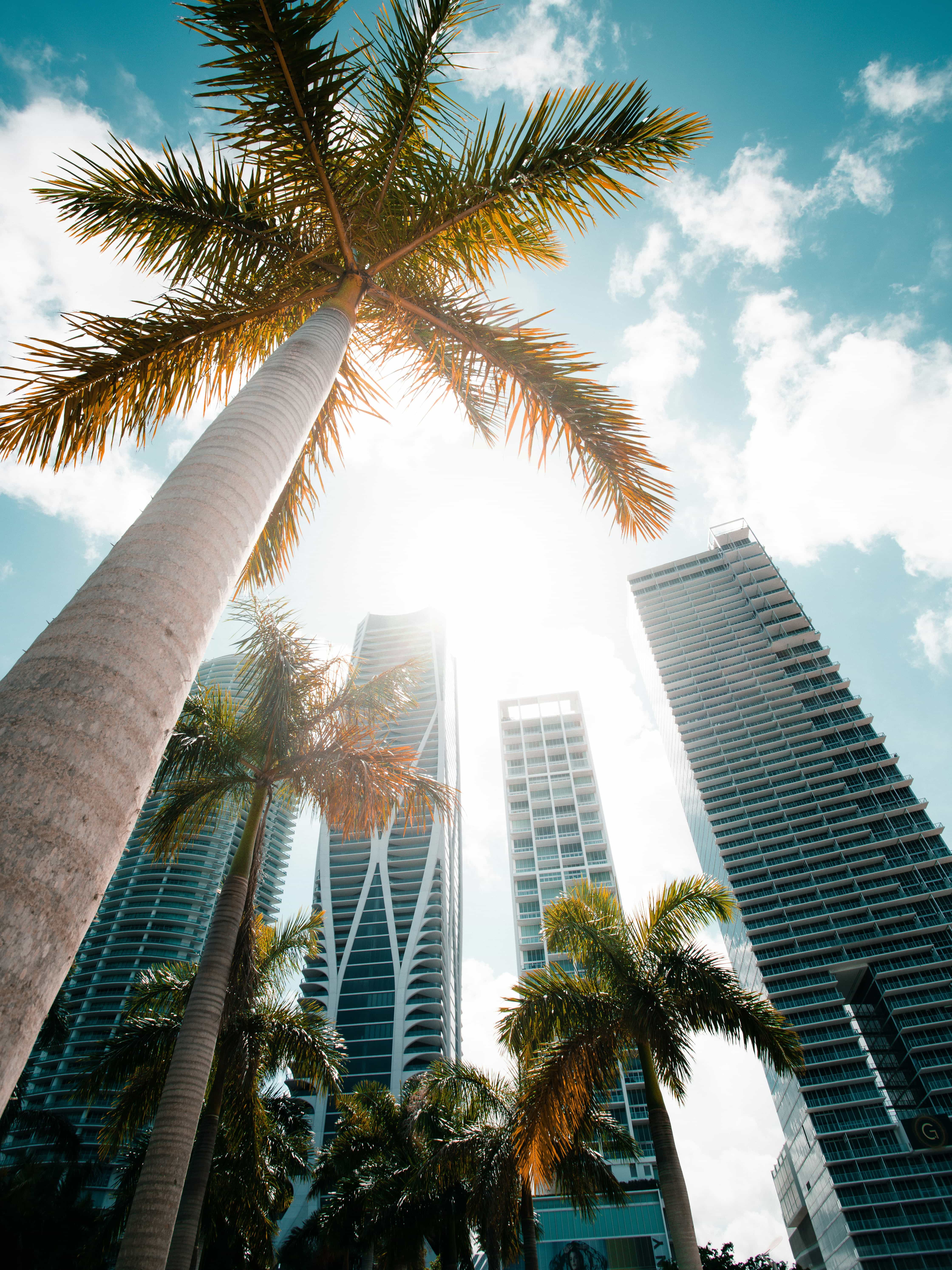 From City to Keys